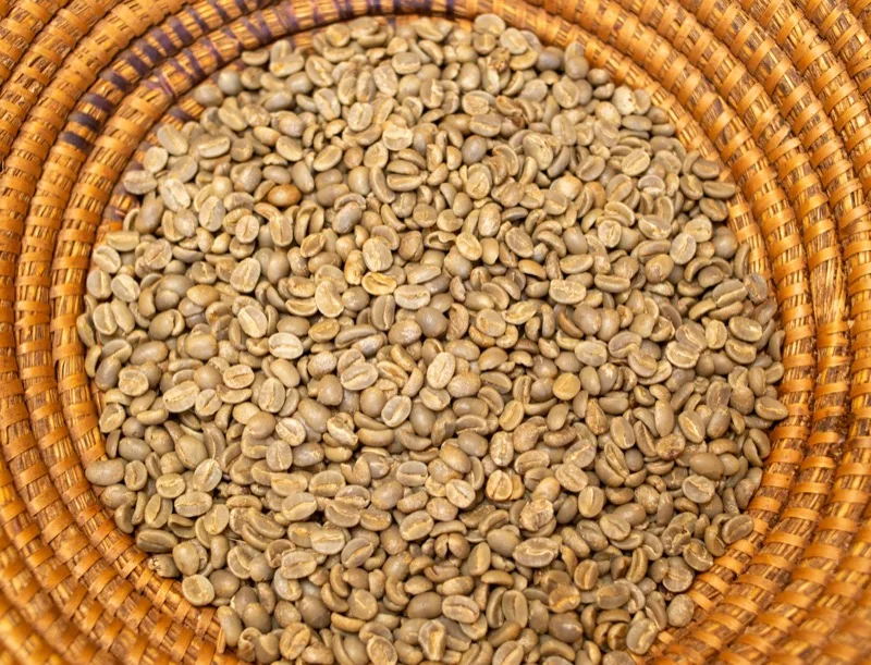 Dried green coffee beans in a locally woven basket