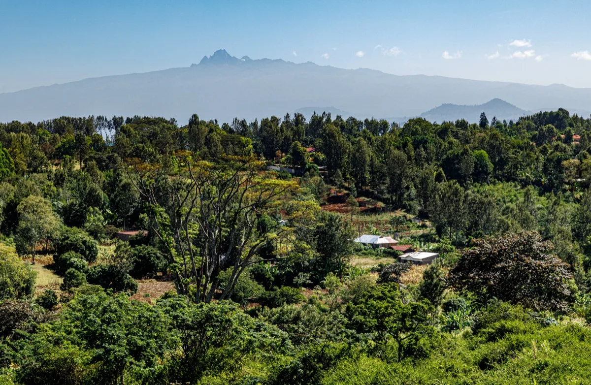 Mount Kenya rising above green smallholder farmland near Nyeri