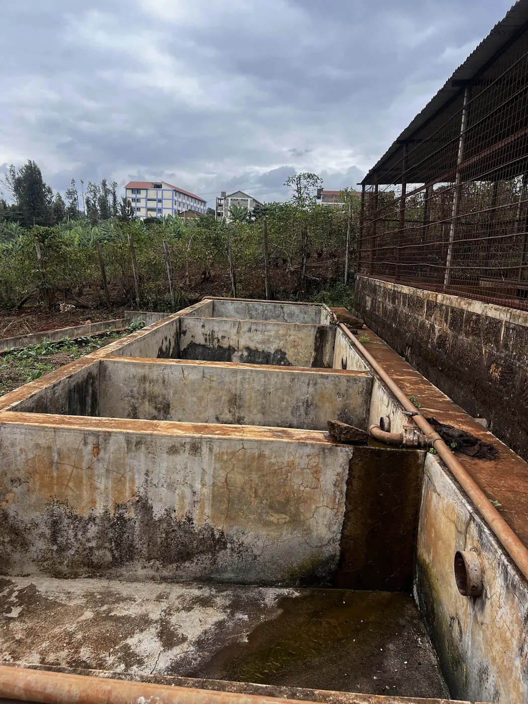 A row of empty, weathered concrete tanks with a rusty pipe beside a wire-mesh shed, bushes and buildings beyond.